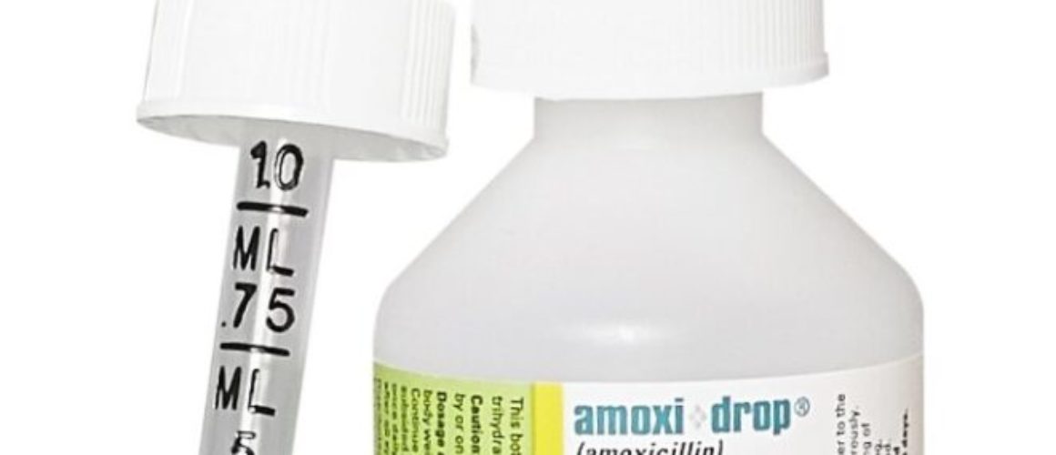 Amoxi-Drop (Amoxicillin) Oral Suspension for Dogs & Cats 30ml