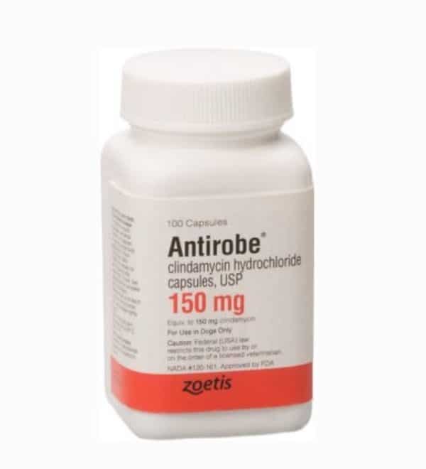 Antirobe (Clindamycin HCI) Capsules for Dogs 150 mg