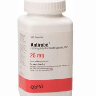 Antirobe (Clindamycin HCI) Capsules for Dogs 25 mg