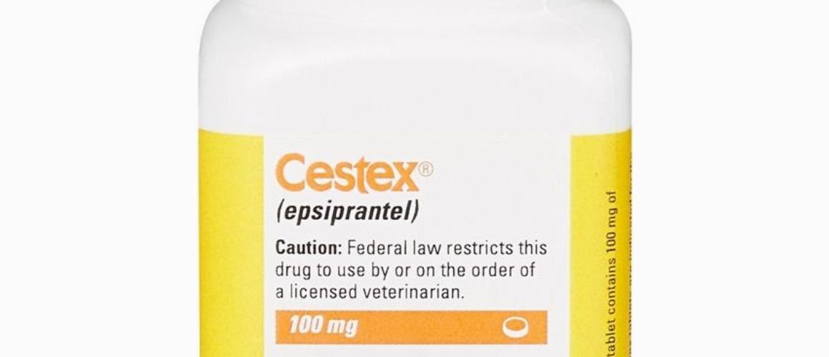 Cestex (Epsiprantel) Tablet for Dogs and Cats 100mg