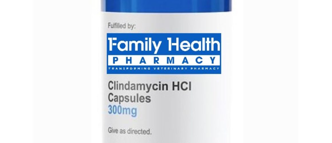 (Clindamycin HCI) Capsules for Dogs 300 mg