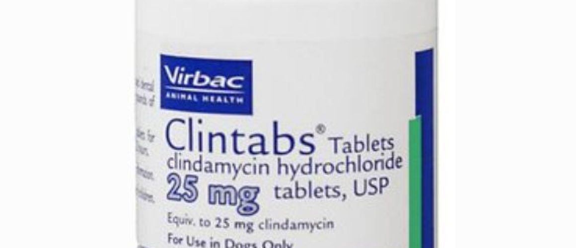 Clintabs (Clindamycin HCl) Tablets for Dogs 25 mg