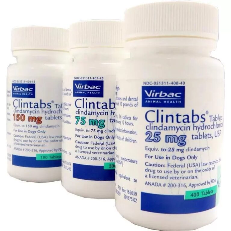 Clavamox (Amoxicillin / Clavulanate Potassium) Chewable Tablets
