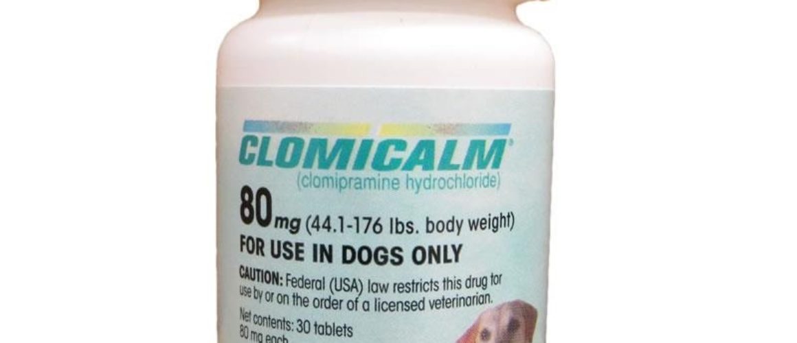 Clomicalm (Clomipramine HCl) Tablets for Dogs 80 mg