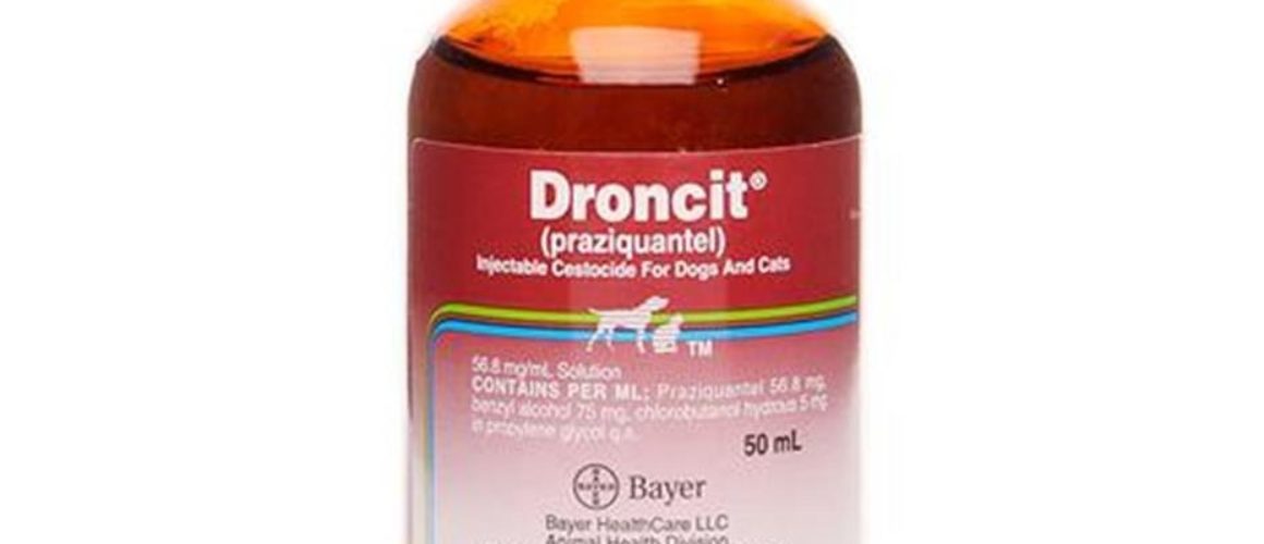Droncit (Praziquantel) 56.8mg per ml solution for injection