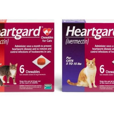 Heartgard Chewables for Cats, main