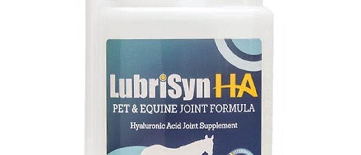LubriSyn HA Hyaluronic Acid Horse & Pet Joint Supplement 32oz