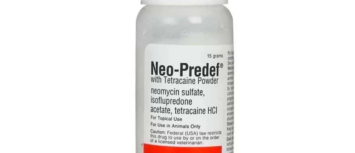 Neo-Predef with Tetracaine Topical Powder 15gm