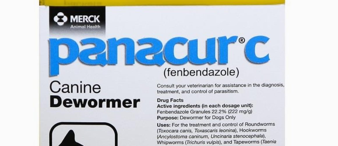 Panacur C Canine Dewormer 1 gm