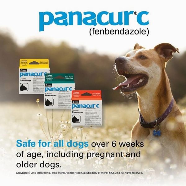 Panacur C Canine Dewormer main2