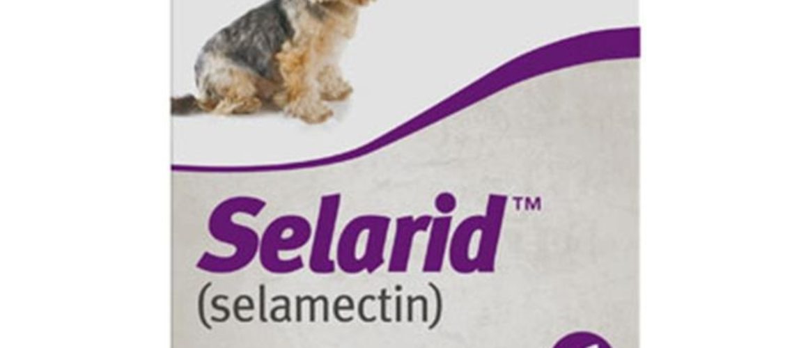 Selarid-selamectin-Topical-for-Dogs-5-10-lbs-purple-box.