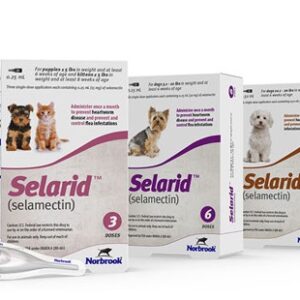 Selarid (selamectin) Topical for Dogs and cats main