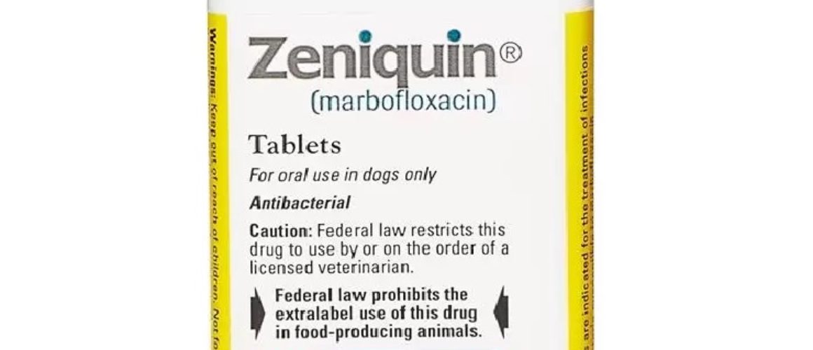 Zeniquin Tablets for Dogs & Cats By Zeniquin 200 MG