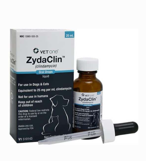 Zydaclin Clindamycin HCl (Generic) Oral Drops for Dogs & Cats, 25 mg per mL, 20-mL