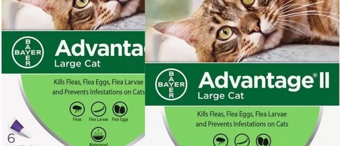 advantage II FOR CATS OVER 9 LBS 12 CT