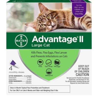 advantage II FOR CATS OVER 9 LBS 4 CT