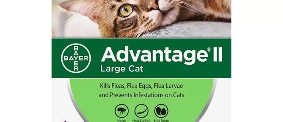 advantage II FOR CATS OVER 9 LBS 6 CT