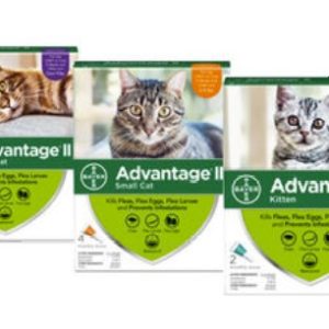 advantage II FOR CATS main