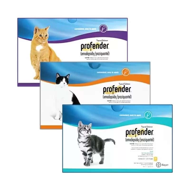 Profender Topical Solution for Cats 1Family 1Health Pharmacy