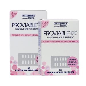 Nutramax Proviable-DC Capsules Dog & Cat Supplement Main