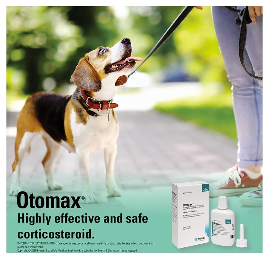 Otomax (Gentamicin, Betamethasone , Clotrimazole) Otic Ointment for Dogs 1