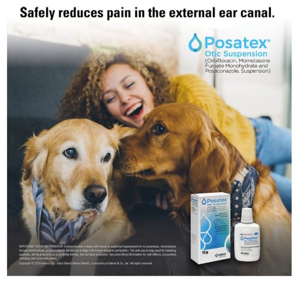 Posatex Otic Suspension for Dogs 3