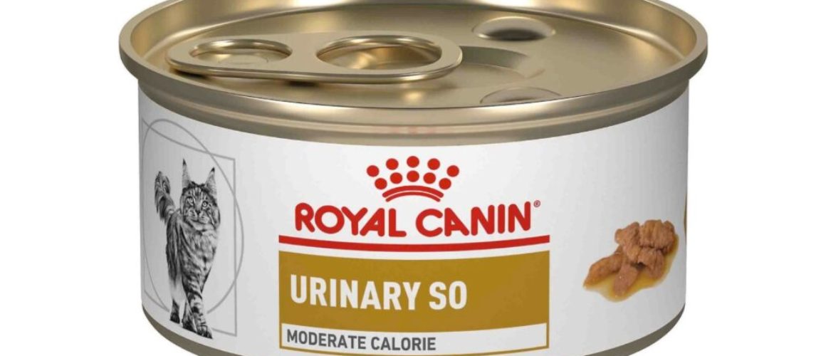 Royal Canin Veterinary Diet Urinary SO Moderate Calorie Morsels in Gravy Canned Cat Food, 3-oz, 1