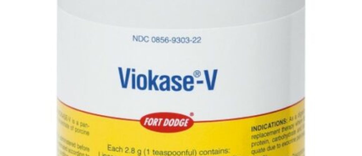 Viokase-V Powder for Dogs & Cats 12oz