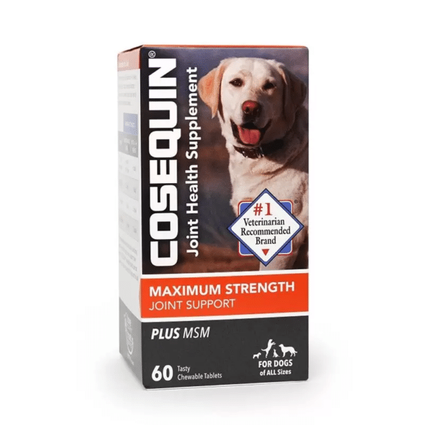 Cosequin Maximum Strength (DS) Plus MSM Chewable Tablets Joint Health Supplement for Dogs 60 ct Box