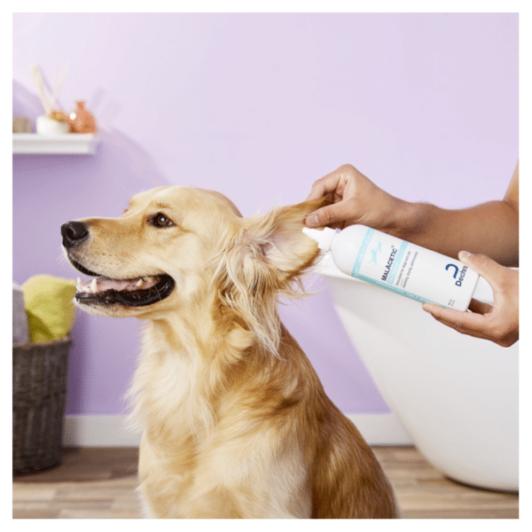 MalAcetic Otic Cleanser for Dogs & Cats 2