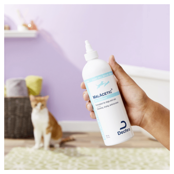 MalAcetic Otic Cleanser for Dogs & Cats 3