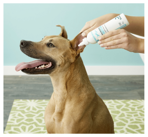 MalAcetic Otic Cleanser for Dogs & Cats 4