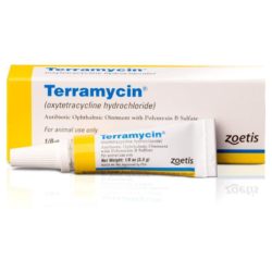 Terramycin ointment 3.5gm