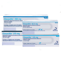 Clavacillin (Amoxicillin Trihydrate and Clavulanate Potassium) Tablet MAIN