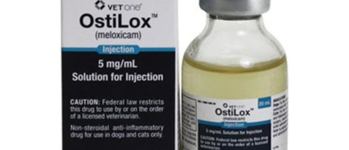 OstiLox (meloxicam) Injection 5mg per mL 20 ml