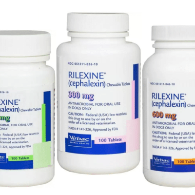 Rilexine (Cephalexin) Chewable Tablet for Dogs Main