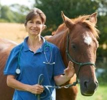 Horse Medications