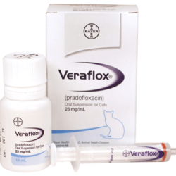 veraflox-oral-suspension-for-cats-packaging-and-syringe.jpeg