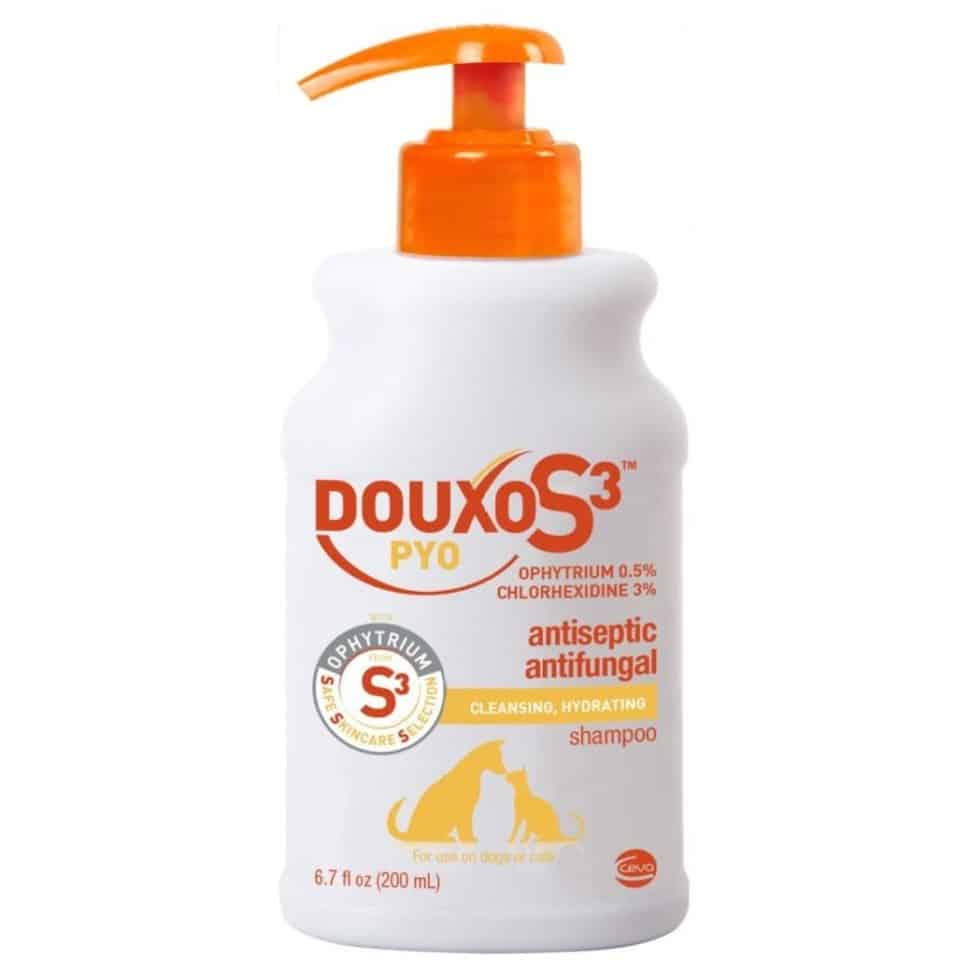 Douxo S3 PYO Antiseptic Antifungal Dog & Cat Shampoo 1Family 1Health