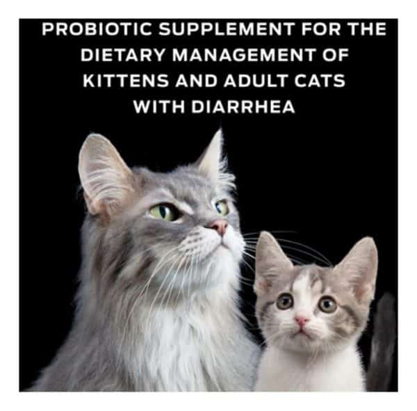 Purina-Pro-Plan-Veterinary-Diets-FortiFlora-Probiotic-Gastrointestinal-Support-Cat-Supplement-pic2 (2)