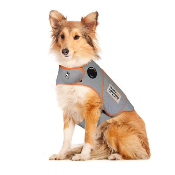 ThunderShirt Anxiety & Calming Aid for Dogs Platinum Color large