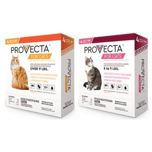 provecta-cats