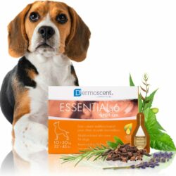 Dermoscent Essential 6 Spot-On 22-45Lbs. Dog Skin Care Treatment 4Ct