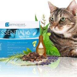 Dermoscent Essential 6 Spot-On Cat Skin Care Treatment 4Ct