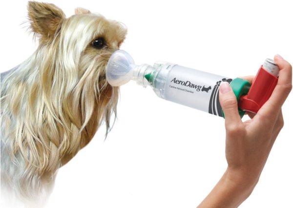 AeroDawg Dog Asthma Aerosol Chamber SMALL