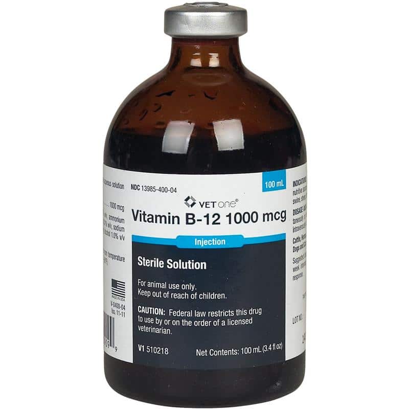 injectable b12 shoppers drug mart B12 Injection Types: Methyl vs. Cyano main image 0