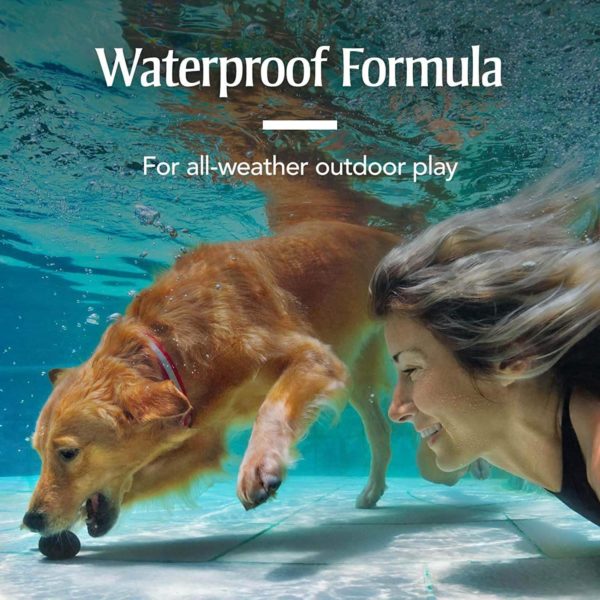 PetArmor Plus Flea & Tick Treatment for Dogs 5-22 lbs.