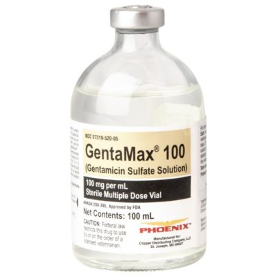 Gentamicin Injection 100mg per ml 100ml