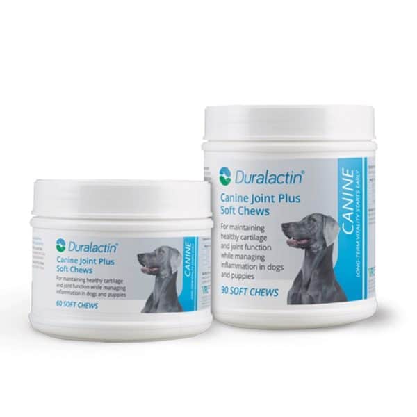 Duralactin Canine Joint Plus Soft Chew Supplement for Dogs
