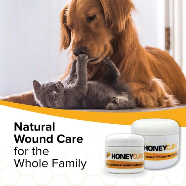 HoneyCure Natural Veterinary Wound Care Ointment for Dogs, Cats & Horses